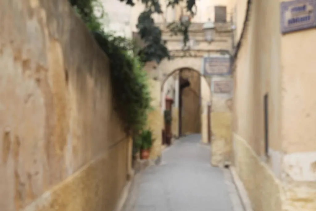 Dar Ouazzani Bed and Breakfast Fez Marocco